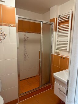 Dlouhodobý pronájem 1+1 Karlovy Vary - 6