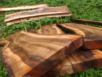 Ořechové fošny - 6