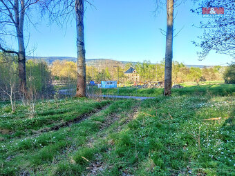 Prodej pozemku k bydlení v Staré Vodě, 2966 m2 - 6