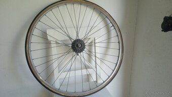 28" galuskový zadní ráfek favorit - 6