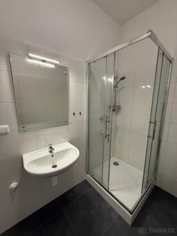 Pronájem zrekonstruovaného bytu 2+kk, 50m2, Strakonice - 6