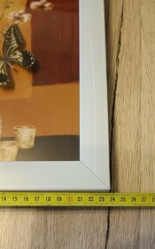 Motýl v rámečku - 6