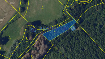 Prodej, les, 26720 m2, Rváčov u Hlinska - 6
