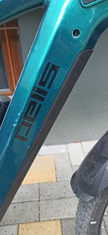 Pells - 6