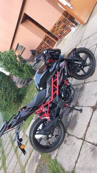 Benelli bn 125 - 2023 - 6