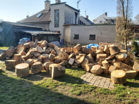 Prodám bukové dřevo,odřezky,špalky.1t/1450kč.... - 6