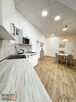 Pronájem, byty/3+kk, 110 m2, Havlíčkova 2370, Místek, 73801  - 6