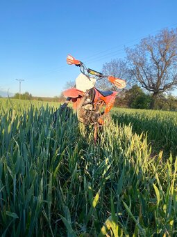 Pitbike 125ccm - 6