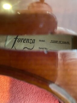Violi - 6