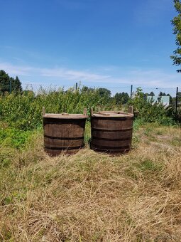 DUBOVÉ KÁDĚ SUDY VĚDRA - 6