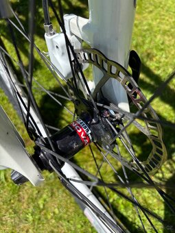 Pells Razzer PRO - 6