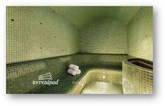 Pronájem Fitness a Relax centra v prostorách hotelu Vienna H - 6