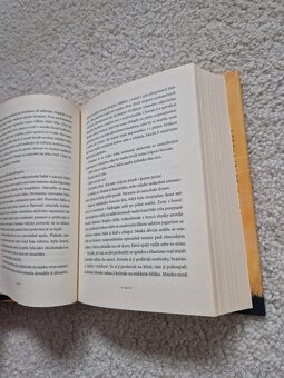 Khaled Hosseini A hory odpovedely - 6
