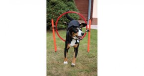 Dog Trainer agility překážky pro psy - 6