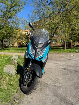 Prodám skútr Maxon Optimus 125 (2022) – najeto 5466 km, nová - 6