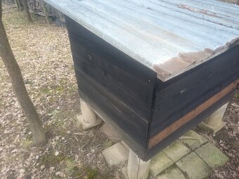 Kurnìk na samozavìránì - 6