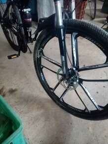 Kolo Laux dack - 6