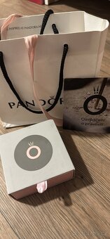 Pandora MOMENTS srdce 17cm - 6