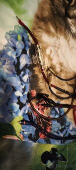 Aktivní subwoofer Pioneer - 6