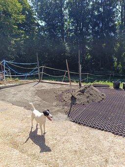 Ustájení Jilemnice, Semily - 6