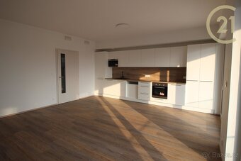 OV 1+kk Brno, ul. Křenová, 6.NP/8, lodžie, OD 1.7.2025 - 6