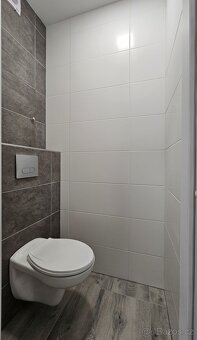 Byt 4+kk s lodžií, Pod Břízami - 6