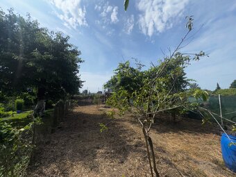 Zahrada s chatkou v Lounech, 303 m² - 6