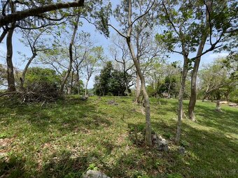 Lot 3 Bodden Bight Estate Jonesville, Roatan - 6