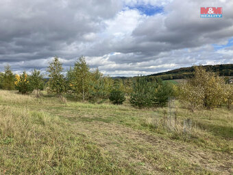 Prodej pozemku, Kamýk u Švihova (22356 m2) - 6