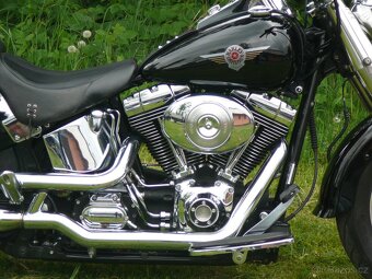 Harley-Davidson FLSTFI Fat Boy 2004 - 6