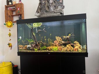 Kompletní set akvária Juwel Rio 350 LED s profi výbavou – TO - 6