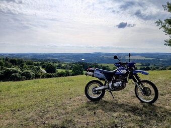 Yamaha TTR 600 - 6