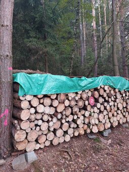 Palivové dřevo "suché" - 6