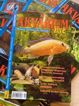 Akvárium živě - 6