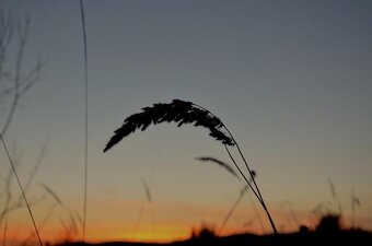 Nikon D7000, Nikon 18-105 mm - 6