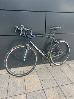 Silniční kolo Specialized Allez Peter Sagan - 6