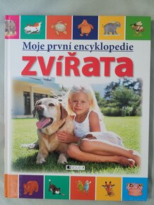 6x kniha pro předškoláky - 6