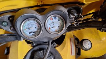 Sym Trackrunner 200 - 6