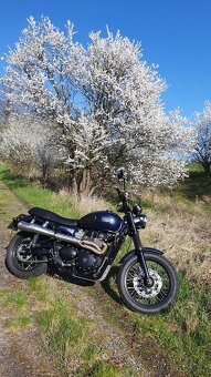 Tiriumph Scrambler - 6