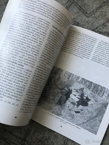 Jeskyně a historická důlní díla v jižních Čechách a na Šumav - 6