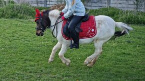 Spolahliva sportová pony S pre najmenšie deti - 6