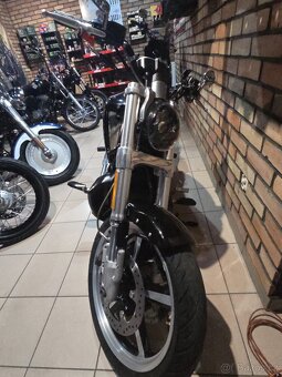 Harley Davidson Vroad Muscle - 6