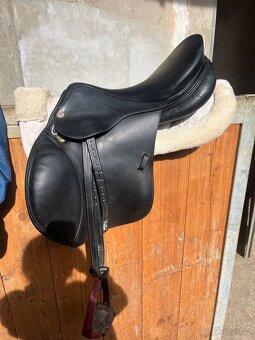 Prestige appaloosa (equipe) - 6