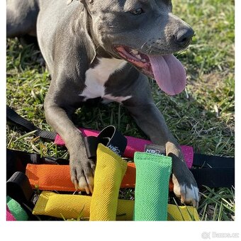 Pešek ,přetahovadlo pro psa. - 6