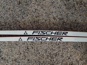 Běžky Fischer – 190 cm – se šupinami – Fibre XC Crown - 6