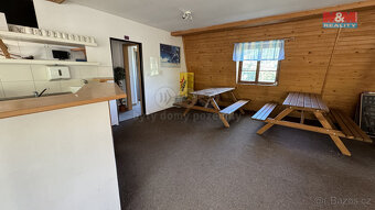 Prodej, komerční objekt, 3.700 m2, Plavy - 6