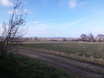 Prodej pozemek bydlení Brodek u Přerova Luková 1193 m² - 6