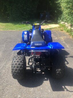 Yamaha Banshee 350 - 6