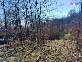 Prodej pozemku k bydlení, 443 m², Hrob - 6