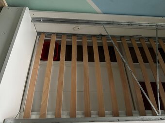 IKEA slakt - 6